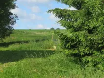 Dražba zahrady, Otročín, 265 m2