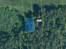 Dražba lesa, Kovčín, 362 m2