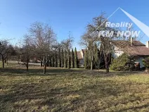 Pronájem rodinného domu, Soběsuky, 100 m2