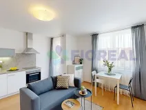 Pronájem bytu 1+kk, Praha - Žižkov, Rečkova, 32 m2