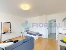 Pronájem bytu 1+kk, Praha - Žižkov, Rečkova, 32 m2