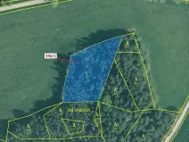 Dražba lesa, Kuřimany, 3340 m2