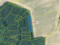 Dražba lesa, Kuřimany, 2526 m2