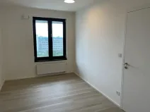 Pronájem bytu 2+kk, Hradec Králové, Kubelíkova, 54 m2