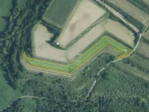 Prodej sadu/vinice, Nikolčice, 10666 m2