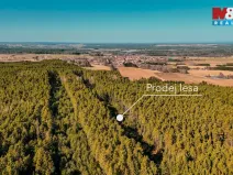 Prodej lesa, Olešnice, 18382 m2