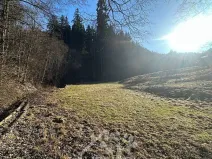 Prodej louky, Bozkov, 5815 m2