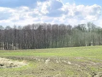 Prodej pozemku, Františkovy Lázně, 11892 m2