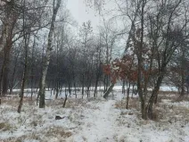 Prodej lesa, Pardubice, 1407 m2