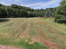 Prodej pozemku pro bydlení, Chotěvice, 4127 m2