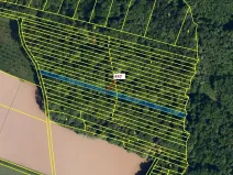 Dražba lesa, Hradčany-Kobeřice, 1989 m2