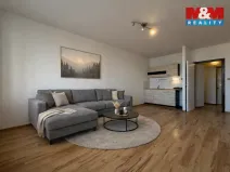 Pronájem bytu 1+kk, Ostrava - Výškovice, Výškovická, 29 m2