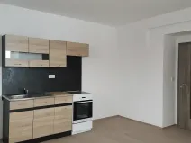 Pronájem bytu 1+kk, Chotěšov, Ořechová, 38 m2