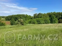 Prodej pole, Kouřim, 12974 m2