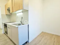 Pronájem bytu 1+1, Ostrava, Proskovická, 40 m2