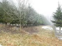 Dražba louky, Horní Planá, 3804 m2