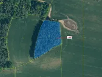 Dražba lesa, Hradiště, 4542 m2