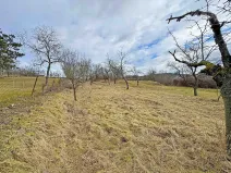 Prodej zahrady, Brno, Jámy, 1885 m2