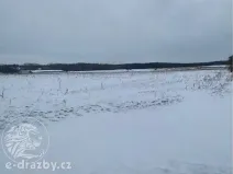 Dražba pole, Toušice, 7911 m2