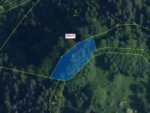 Dražba lesa, Český Dub, 1217 m2