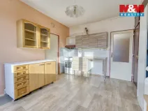 Pronájem bytu 1+1, Plzeň - Skvrňany, Karla Steinera, 36 m2