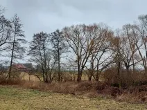 Prodej podílu louky, Podluhy, 1240 m2