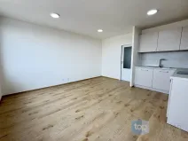 Pronájem bytu 2+kk, Praha - Žižkov, Květinková, 47 m2