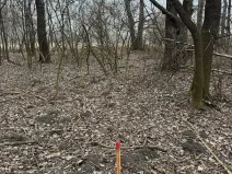 Prodej lesa, Veselí nad Moravou, 2272 m2