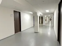 Pronájem kanceláře, Praha - Karlín, Thámova, 19 m2