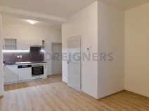 Pronájem bytu 2+kk, Plzeň, Říční, 47 m2