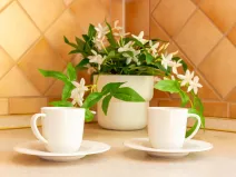 Prodej bytu 2+1, Karviná - Ráj, Školská, 53 m2