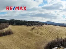 Prodej pozemku pro bydlení, Červená Voda, 1745 m2