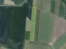 Prodej sadu/vinice, Želkovice, 133318 m2