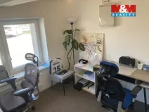 Pronájem kanceláře, Opava, Rybářská, 108 m2