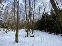 Prodej lesa, Volfířov - Brandlín, 3892 m2