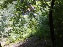 Prodej pozemku, Děčín, 675 m2