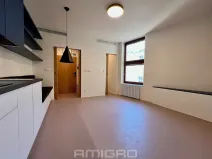 Pronájem bytu 1+kk, Brno, Peroutková, 25 m2
