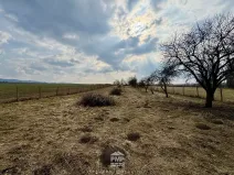 Prodej louky, Cetkovice, 3195 m2