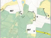 Prodej lesa, Červená Řečice, 158 m2