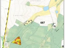 Prodej lesa, Červená Řečice, 1181 m2