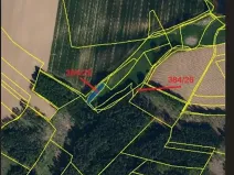 Prodej lesa, Červená Řečice, 1181 m2