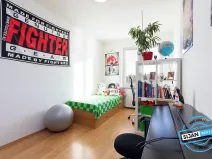 Pronájem bytu 2+1, Vítkov, Budišovská, 48 m2