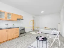 Prodej bytu 2+kk, Ostrava, Alšovo náměstí, 51 m2
