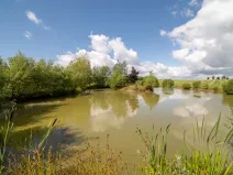 Prodej komerční, Broumov - Velká Ves, Kladská