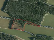 Prodej lesa, Strmilov, 8914 m2