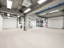 Pronájem obchodního prostoru, Brno, Svatopetrská, 203 m2