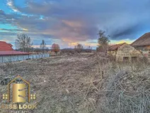 Prodej pozemku, Dolní Roveň - Komárov, 4457 m2