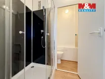 Pronájem bytu 1+1, Ostrava - Moravská Ostrava, Ahepjukova, 35 m2