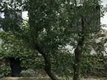 Dražba rodinného domu, Slapy, 70 m2