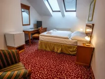 Prodej ubytování, Karlovy Vary, Zahradní, 6150 m2